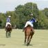 Memphis Polo Rotary Club Benefit
